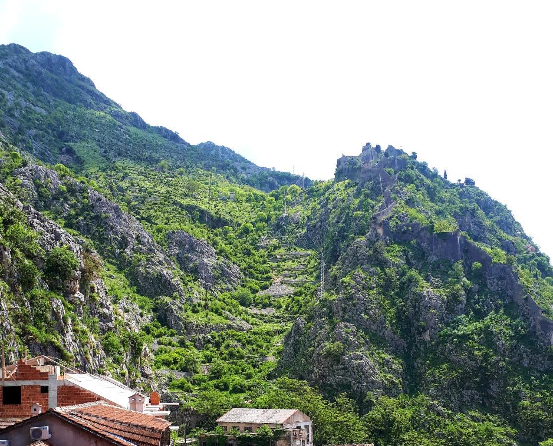 Red House Apartment Kotor Dış mekan fotoğraf